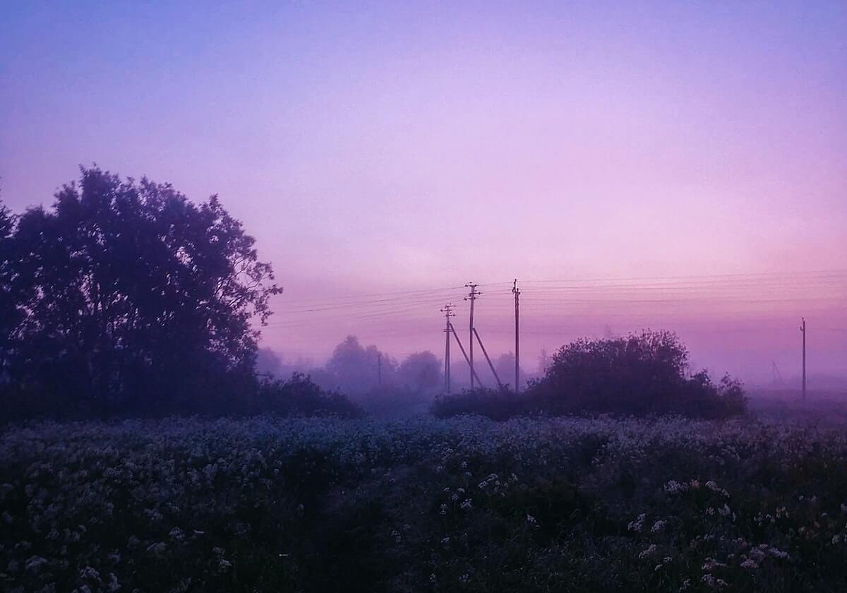 官方网站-jiuyou：久伴成长的品牌觉醒